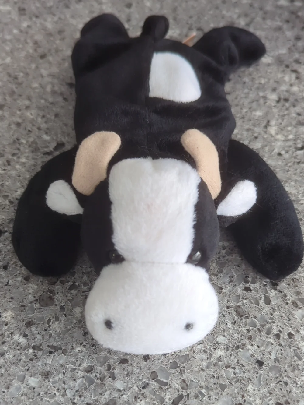 Ty Beanie Baby - Daisy